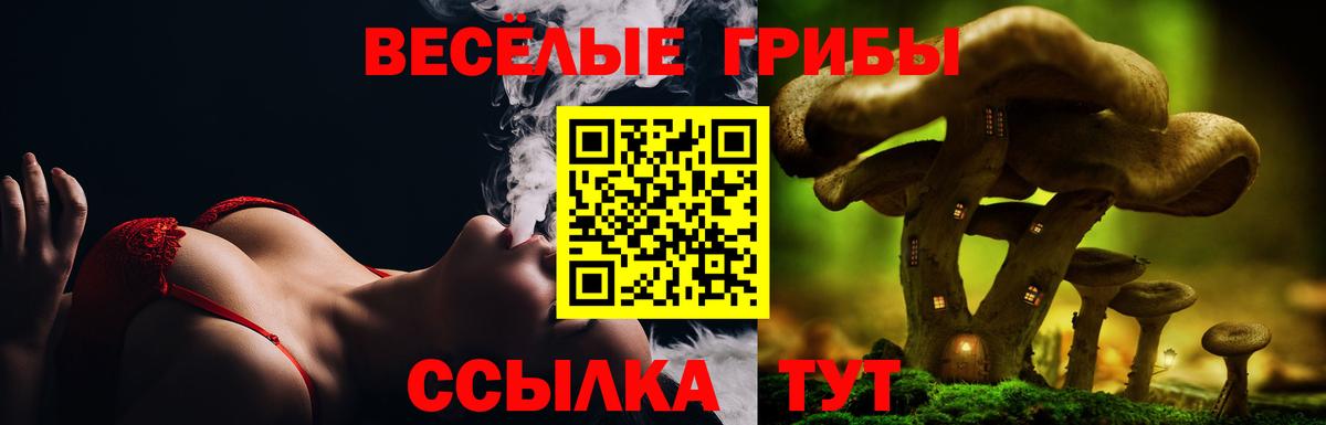 Псилоцибиновые грибы GOLDEN TEACHER  Псилоцибиновые грибы GOLDEN TEACHER  Фрязино  Вход с VPN 